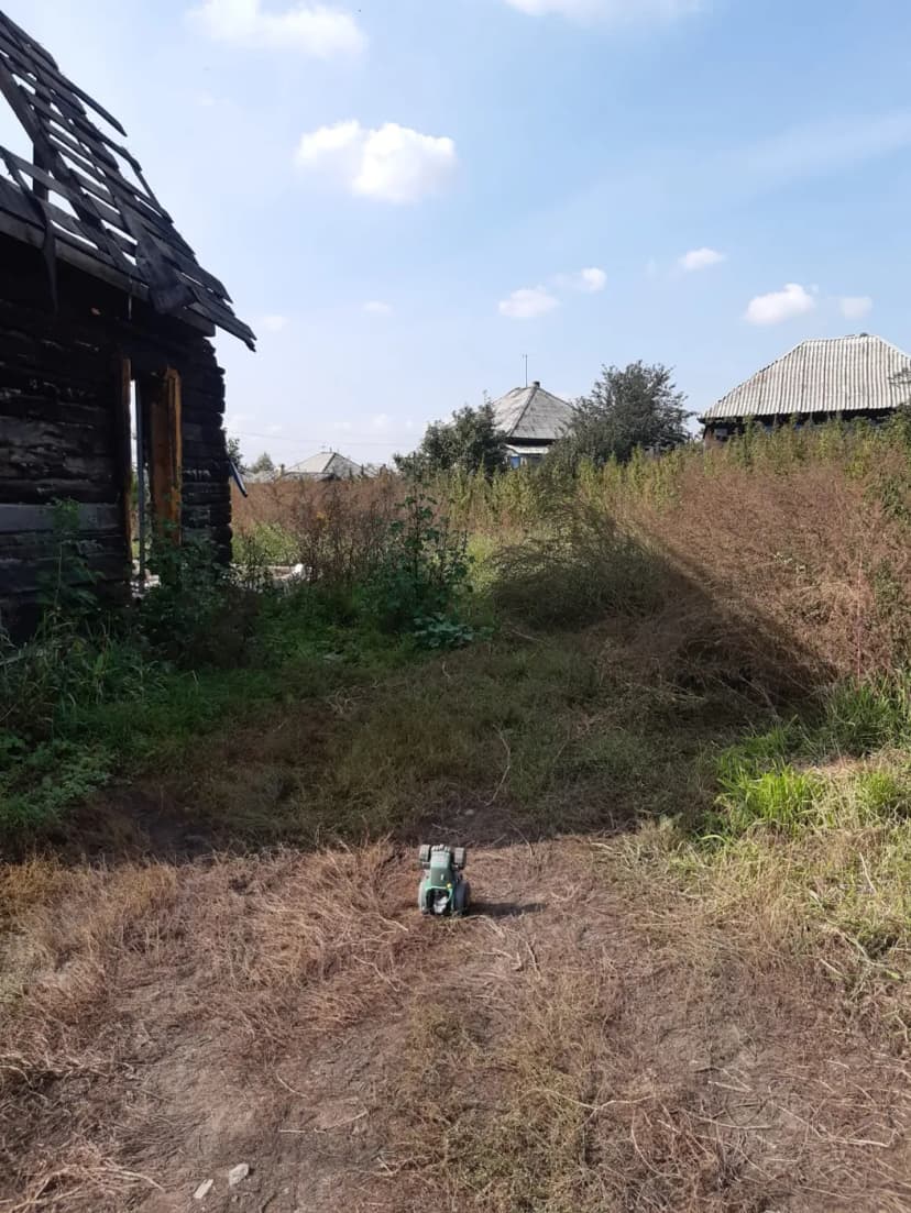 Участок и заросшая территория