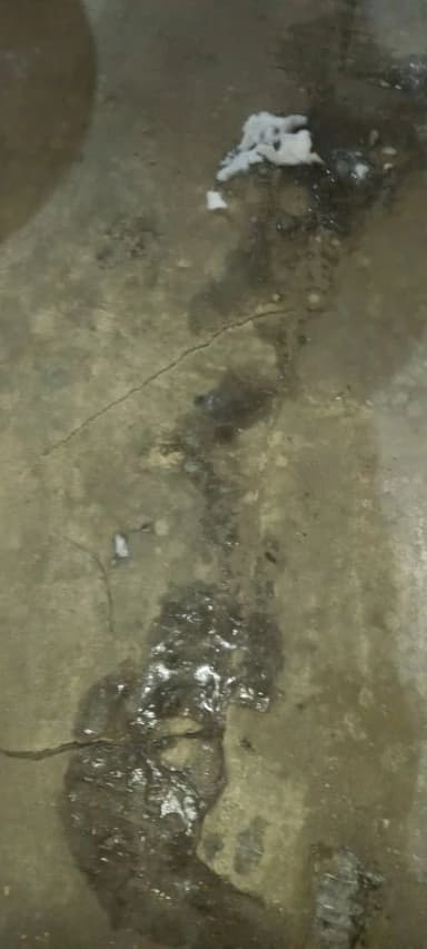 Залитый гараж со следами воды на полу - оценка восстановительного ремонта, НЭА