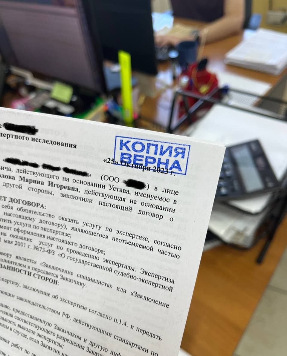 Лингвистическая экспертиза высказывания — заключение НЭА